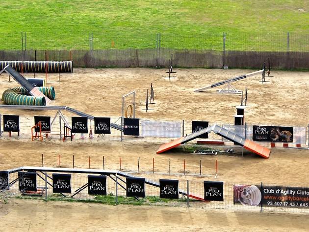 Agility Ciutat Comtal Agility Ciutat Comtal