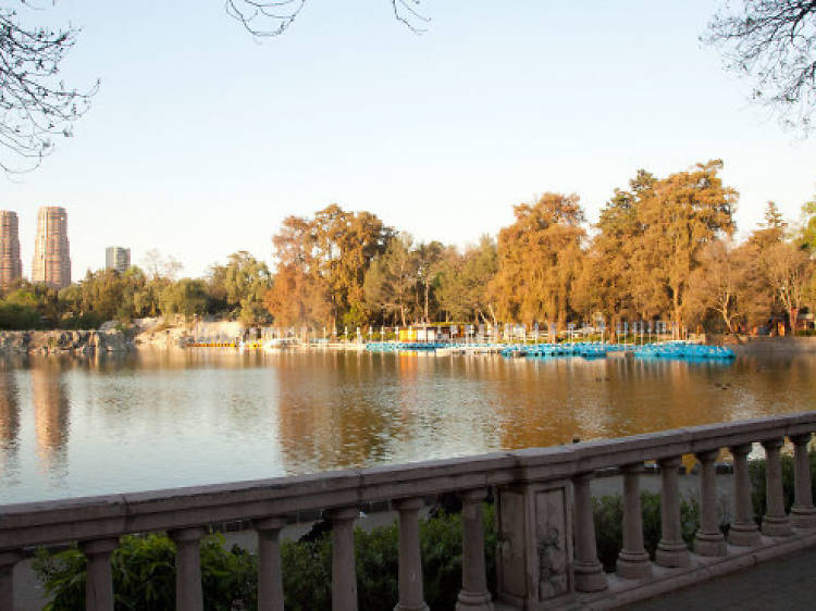 Bosque de Chapultepec