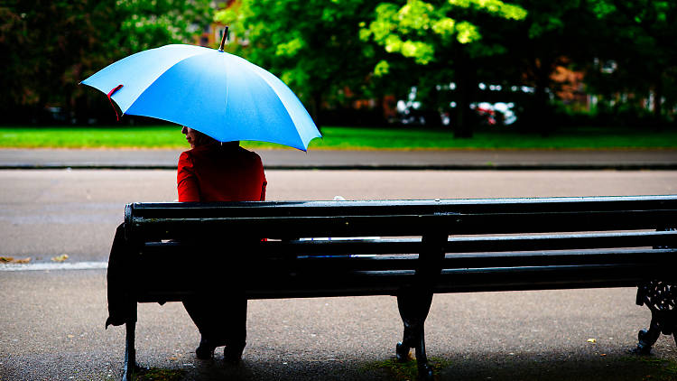 Brolly break