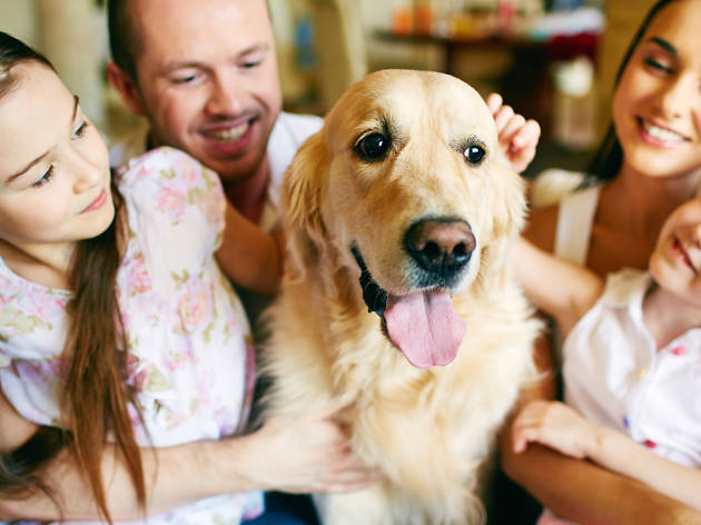 Huellitas a pasear familia con perro