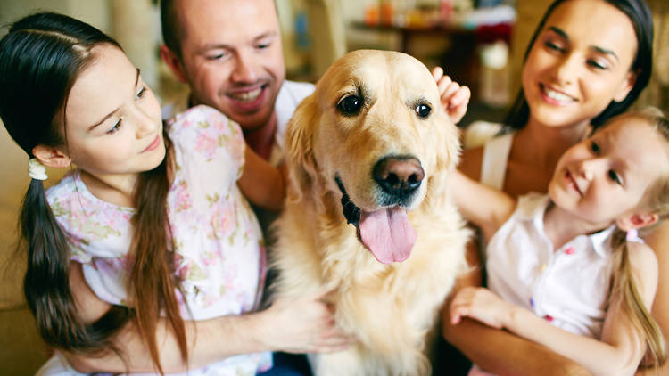 familia con perro