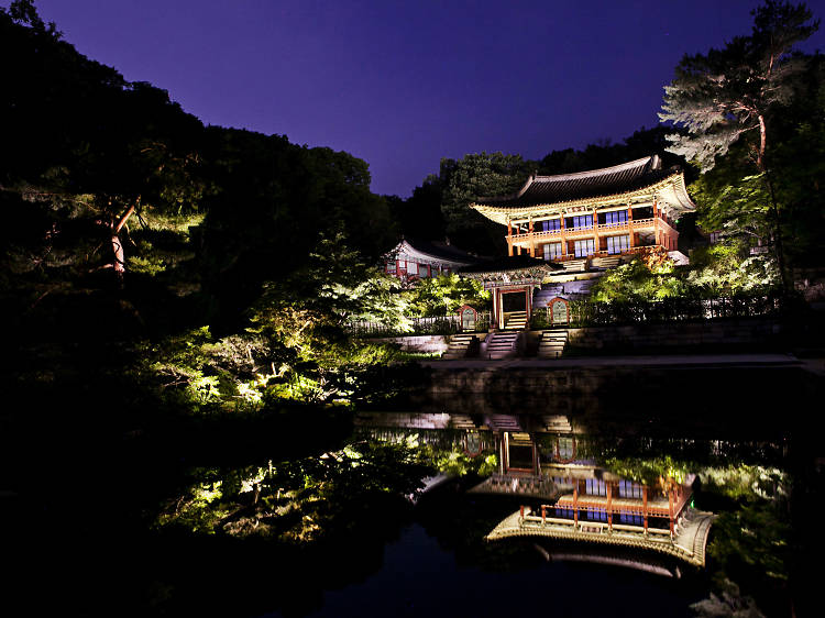 The palace by moonlight