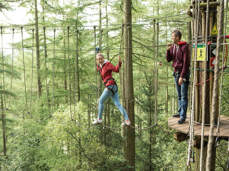 Swing from tree to tree