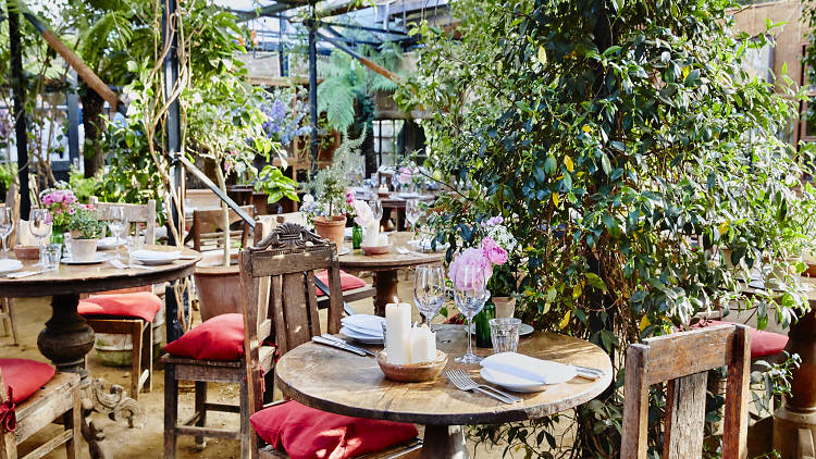 Dine a la mode at Petersham Nurseries