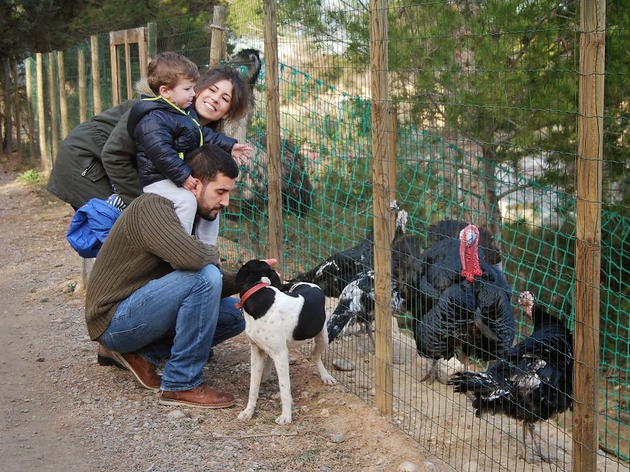 Granja d'Aventura Park Granja d'Aventura Park