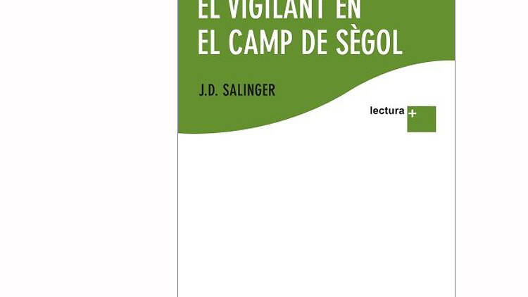 El vigilant al camp de sègol