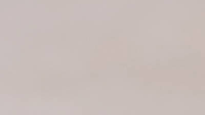 Bistro Union Bistro Union