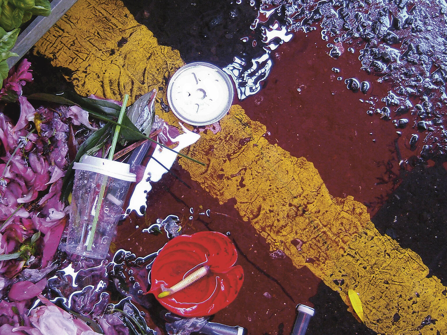 Columbia Road Flower Market Photos London In Pictures   Image 