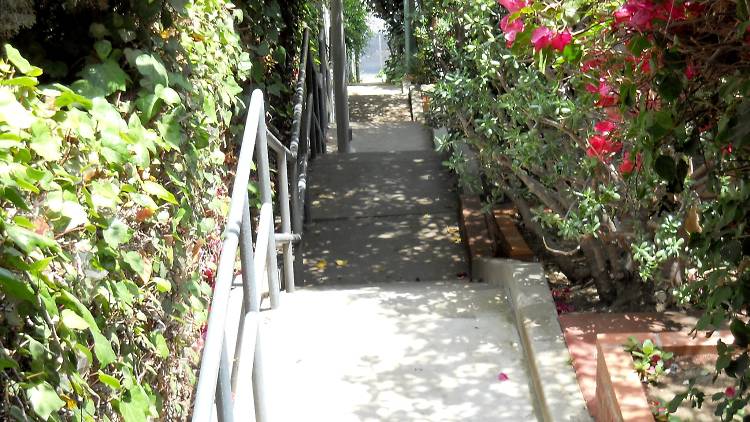 Music Box Steps, Silver Lake Stairs