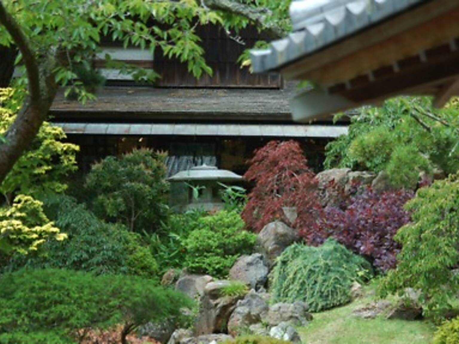 Top tea houses in San Francisco