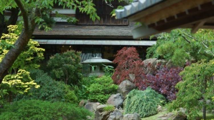 Japanese Tea Garden, a Tea House in San Francisco
