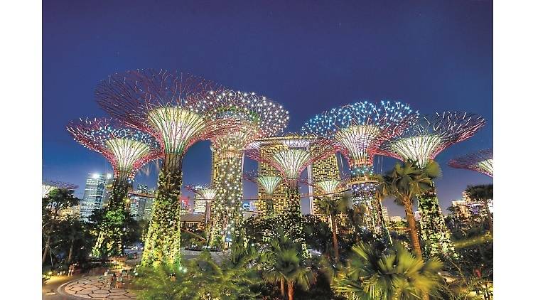 Enjoy a light show at Gardens by the Bay