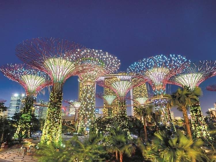 Enjoy a light show at Gardens by the Bay
