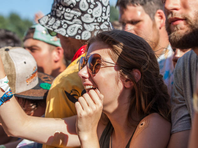 The gigantic, sold out party in Grant Park came to an end at the final day of Lollapalooza on August 2, 2015.