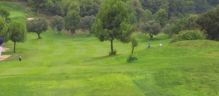 Rugby y golf