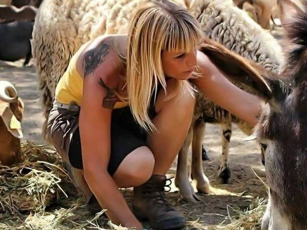 La Bassa refugi d'animals al Vendrell La Bassa refugi d'animals al Vendrell