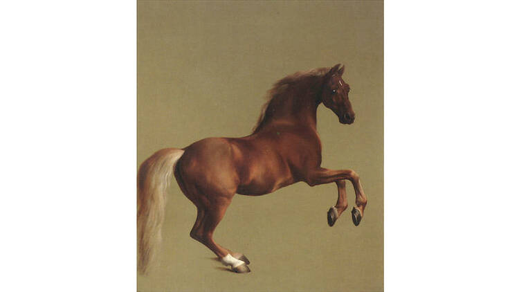 'Whistlejacket', 1762, by George Stubbs