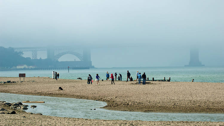 Fog and fully-clothed beach-goers