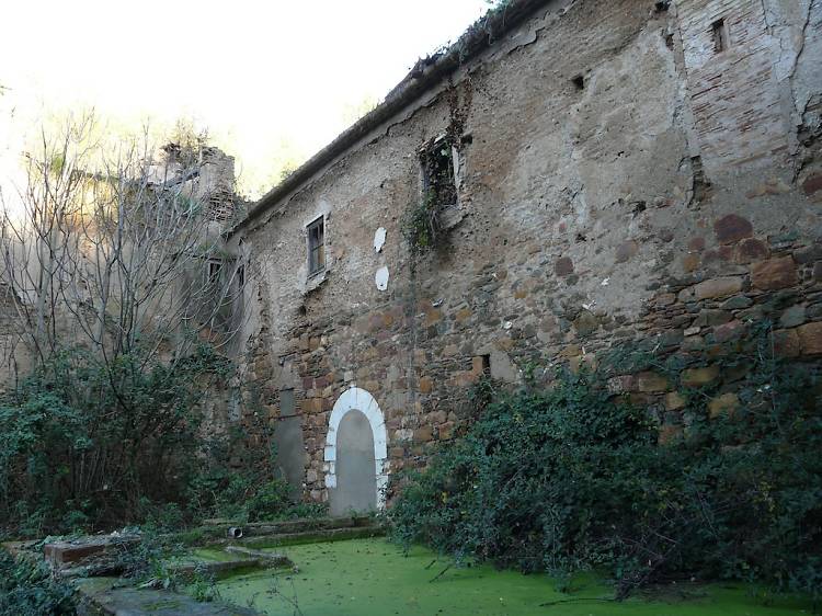 Adentrarse en la naturaleza