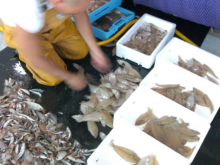 Tarde día 1: barcas y gaviotas