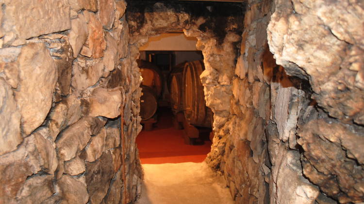 milos winery, wineries, Peljesac Peninsula, Korcula and Peljesac, croatia 