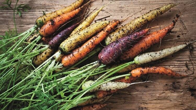 Rainbow carrots