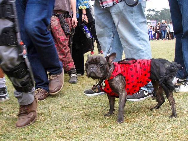 Outside Lands 2015