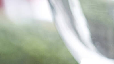 Singapore Garden Singapore Garden