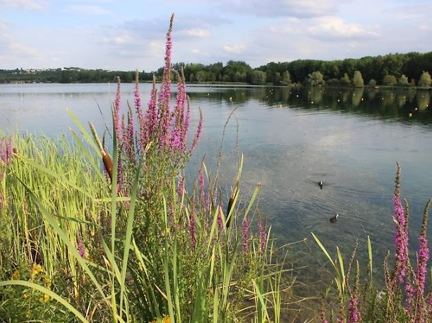 île de Vaires Torcy île de Vaires Torcy