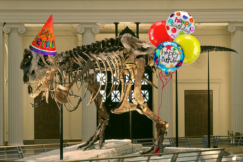 SUE the T. rex - Field Museum