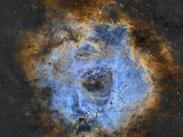 (Roseta-NBv5 © Juan Ignacio Jimenez)