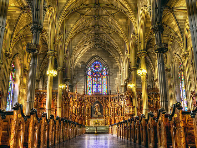 Znalezione obrazy dla zapytania st patrick cathedral