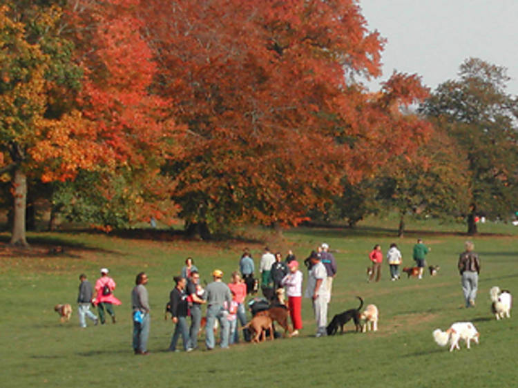 Prospect Park