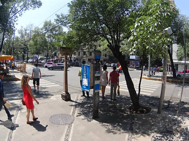 Día del Peatón Celebra el Día del Peatón