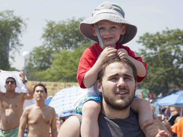 North Avenue Beach was the perfect place to watch aerial acrobatics at the Chicago Air and Water Show on August 15, 2015.