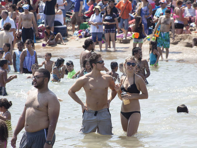 North Avenue Beach was the perfect place to watch aerial acrobatics at the Chicago Air and Water Show on August 15, 2015.