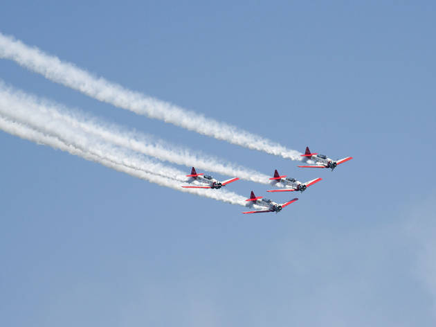 Photos from the Chicago Air and Water Show 2015