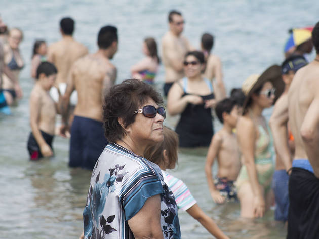North Avenue Beach was the perfect place to watch aerial acrobatics at the Chicago Air and Water Show on August 15, 2015.