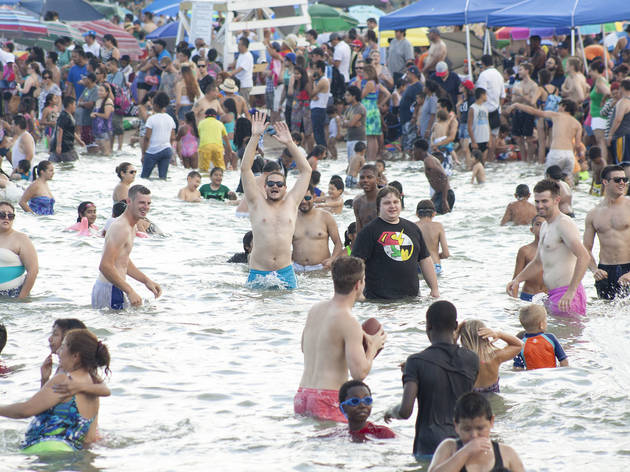 North Avenue Beach was the perfect place to watch aerial acrobatics at the Chicago Air and Water Show on August 15, 2015.