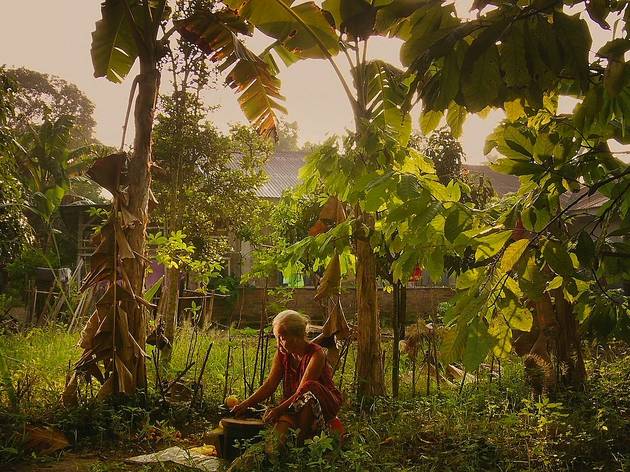 The Look of Silence The Look of Silence