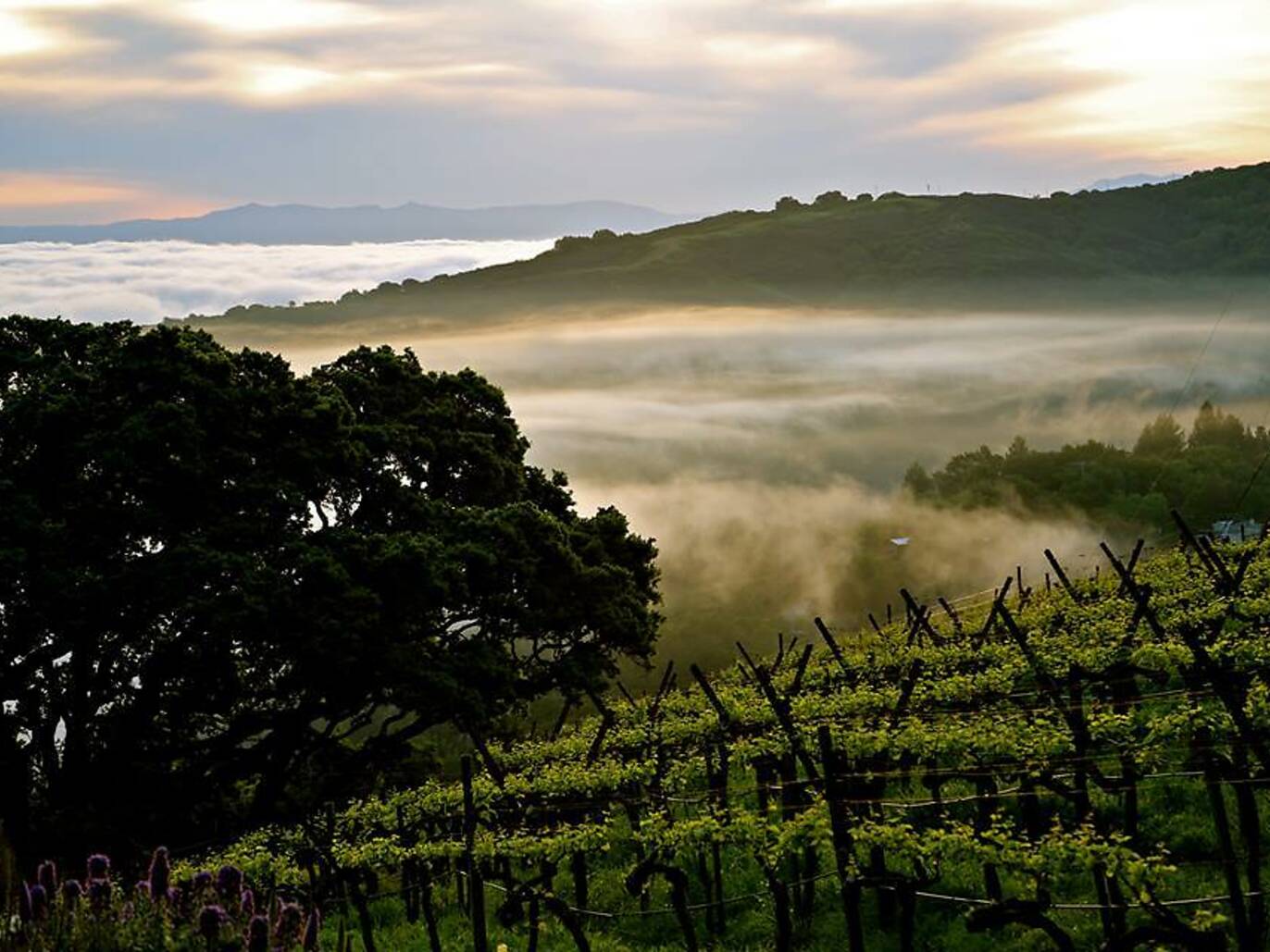 Best day trips from san francisco