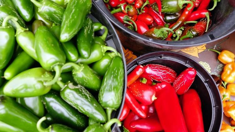 The Festival of Heat: London Chilli Festival