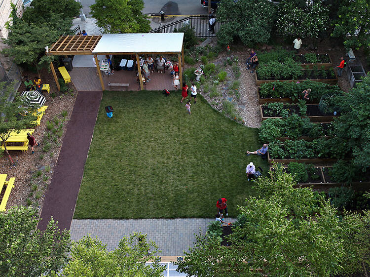 The best community gardens in NYC