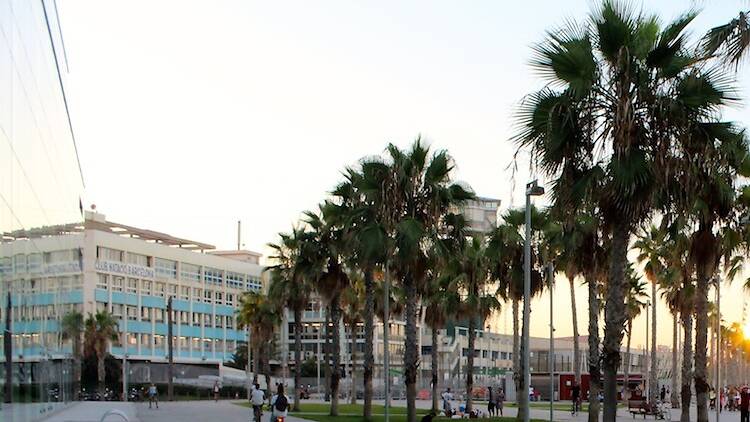 Césped polideportivo a los pies del Vela