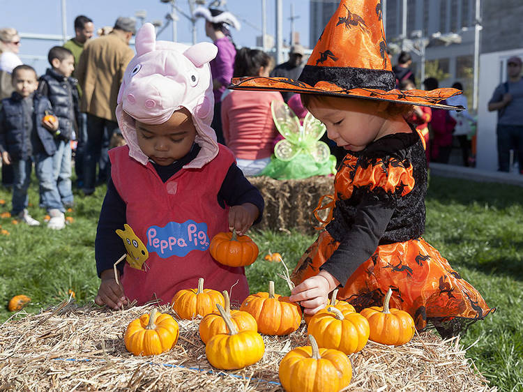 Brooklyn Harvest Festival on Pier 6