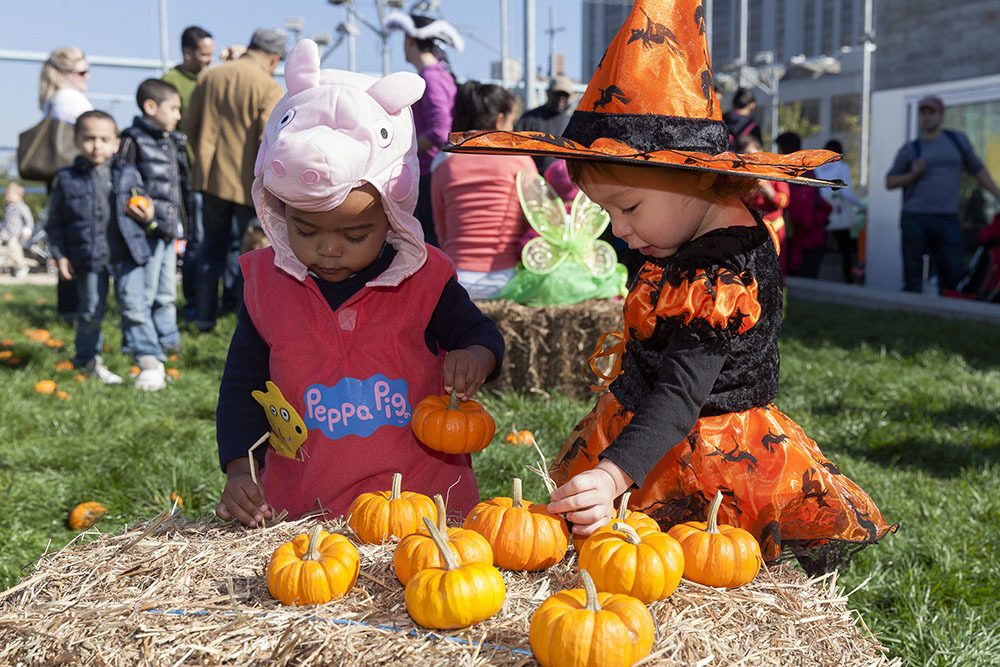 Best things to do in the fall with kids in New York City