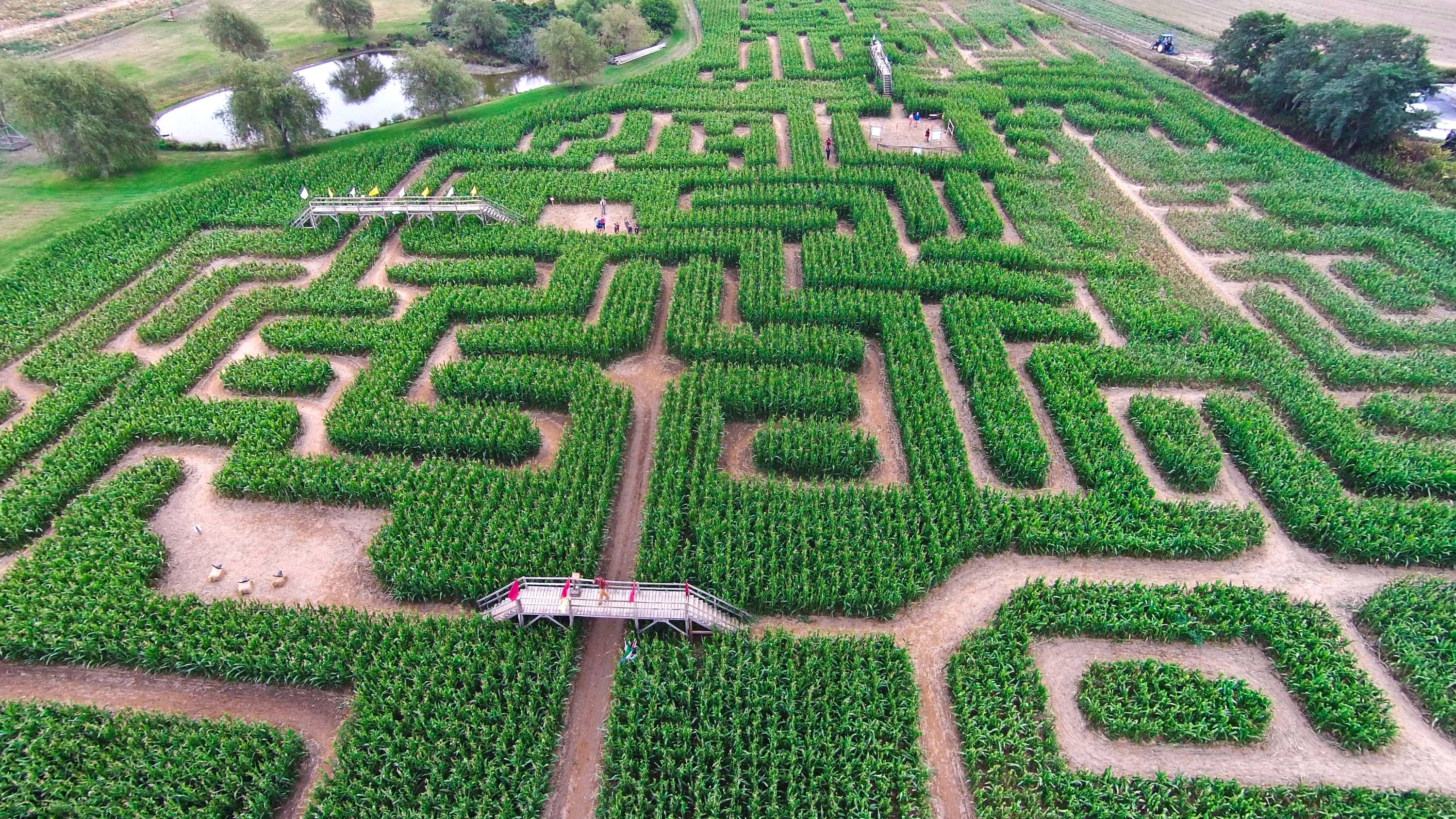 Best Corn Mazes Ny Has To Offer Including Amazing Maize Maze 