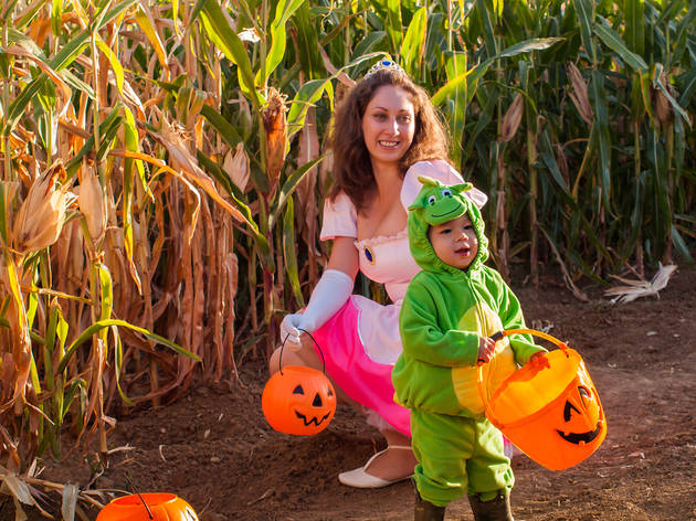 Corn mazes near NYC for families Corn mazes near NYC for families