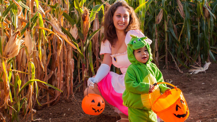 Cruise through a corn maze