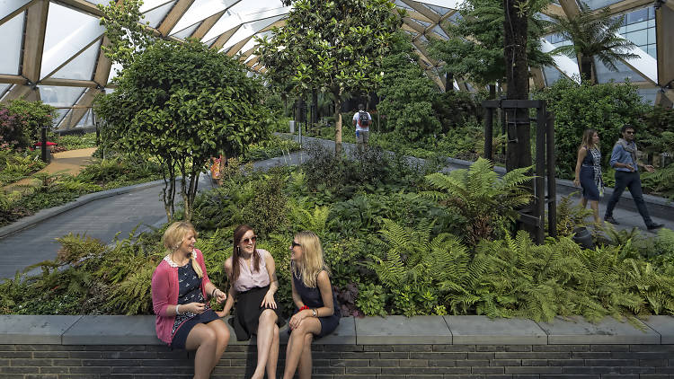 Admire the historical planting at Crossrail Place Gardens